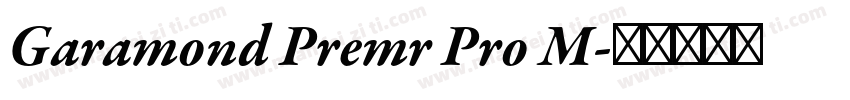 Garamond Premr Pro M字体转换